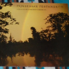MATTI RAG PAANANEN ~ Prinsessan Testamentti ~ LP M-/M- - pikkukuva 1