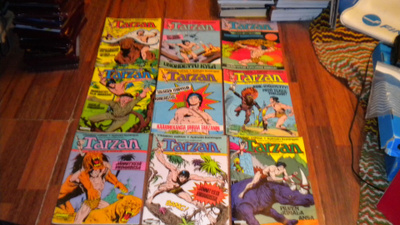TARZAN 4-12 1983 9KPL Sarjakuva