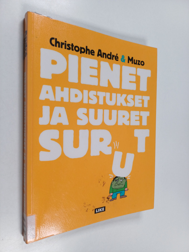 Christophe Andre : Pienet ahdistukset ja suuret surut