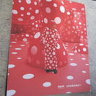 Yayoi Kusama - äärettömyydessä - pikkukuva 1