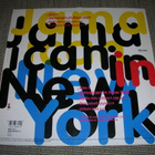 EP vinyyli Shinehead: Jamaican in New York - pikkukuva 2