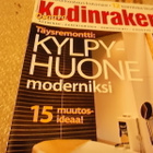 OSAAVA KODINRAKENTAJA NRO 9 /2008 - pikkukuva 3