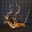 Uniikki akvaariojuurakko 62 cm | P012620 - pikkukuva 5