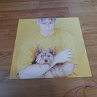 Pet Shop Boys – Introspective lp orig 1988 Elect Dance-pop - pikkukuva 3