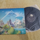 ASIA - Alpha LP - pikkukuva 1