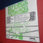 PSYCHOTIC TURNBUCKLES - S/T  M-/M- 12"EP AUSTRALIA -87 PRESS - pikkukuva 2
