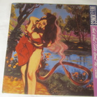 Chris Daniels & The Kings:That´s What I Like ... LP 1989 - pikkukuva 1