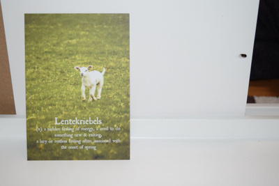 postikortti (A) lammas