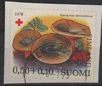 1978 PR 50p lähes loisto Seinäjiki-79