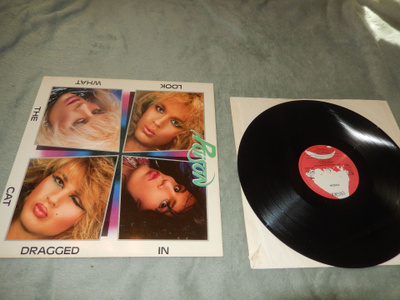 Poison - Look what the cat dragged in vinyyli