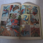 Hämähäkkimies Spesiaali Marvel 1994 - pikkukuva 5