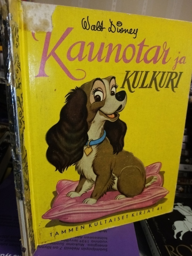 TKK 41 KAUNOTAR JA KULKURI ( SIS POSTIKULU)
