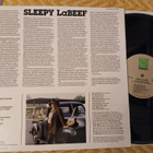 Sleepy LaBeef LP - pikkukuva 2