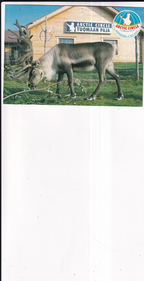 Juoksenki, Tuomaan Paja,  , sommitelmakortti   b681