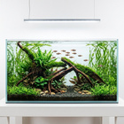 Uniikki akvaariojuurakko 90 cm | S5132623 - pikkukuva 2