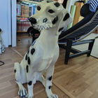 Iso posliininen dalmatialaispatsas 1980-luvun lopulta - pikkukuva 2