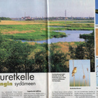 Me n:o 7 1994 Kuhmo. Valentin Kononen. Linturetki Helsinkiin - pikkukuva 5