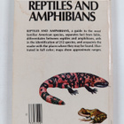 Herbert Spencer Zim ym. : Reptiles and Amphibians : A Gui... - pikkukuva 2