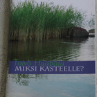 Miksi kasteelle?, Haapala Toivo - pikkukuva 1