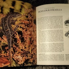 Gerald Durrell ja Lee Durrell: Löytöretki luontoon - pikkukuva 5
