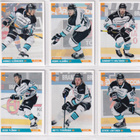 2019-20 Cardset Series 1 Pelicans Team Set 12 korttia - pikkukuva 2