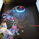 Devin Townsend - The Puzzle ( Boksi ) Limited 913/1000 - pikkukuva 2