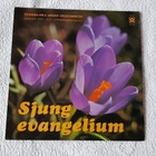 Sjung evangelium - Evangeliska Ungas Ungdomskör  LP - pikkukuva 1