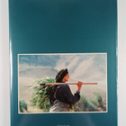 N. Kasraian : syml: shml yrn - Simal : The north of Iran - pikkukuva 2