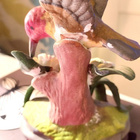 KERAAMINEN KOLIBRI - LINTUKORISTE - pikkukuva 5