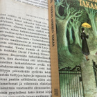Maria Gripe - Vieras aikojen takaa (nid.) - pikkukuva 2
