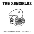 THE SENSIBLES / EVER COMING HAIR split EP -2012- japani - pikkukuva 1