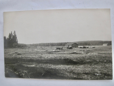 VANHA Postikortti Virolahti Harju 1920-l
