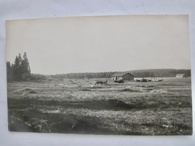 VANHA Postikortti Virolahti Harju 1920-l