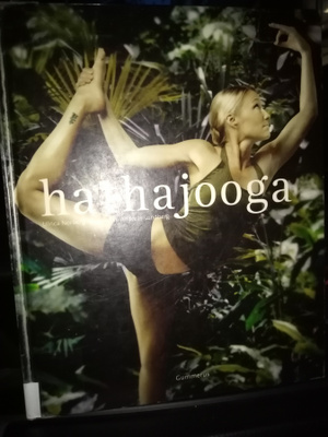 Norberg : Hathajooga ( SIS POSTIKULU)