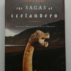 The Sagas of Icelanders - pikkukuva 1