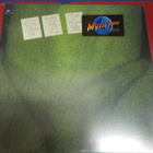 TYPE O NEGATIVE - SLOW DEEP AND HARD M-/M- 2LP - pikkukuva 1