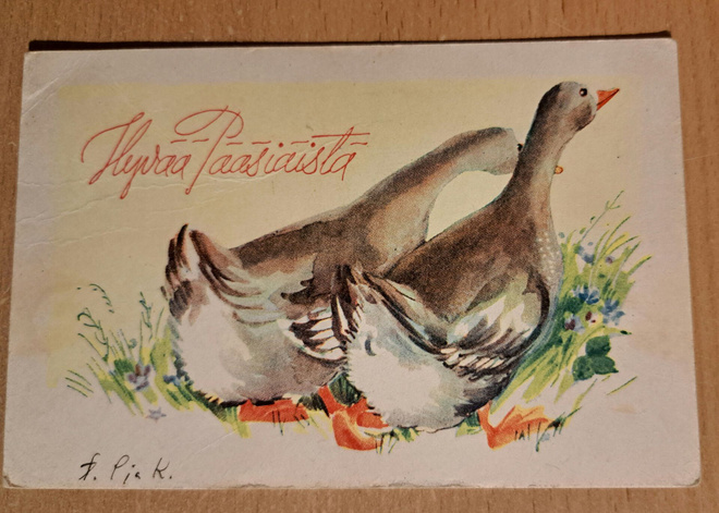 hanhet kulkee rinnakkain, vanha, kulkenut