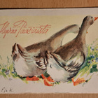 hanhet kulkee rinnakkain, vanha, kulkenut - pikkukuva 1