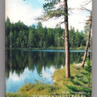 Matti Nummelin: Tontanvuottama 1 - pikkukuva 1