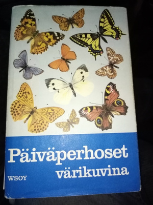 LYNEBORG : PÄIVÄPERHOSET VÄRIKUVINA