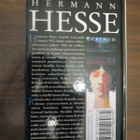 Hermann Hesse: Gertrud - pikkukuva 2