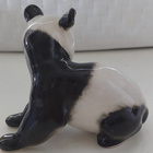 Lomonosov, ` baby ` panda! - pikkukuva 2