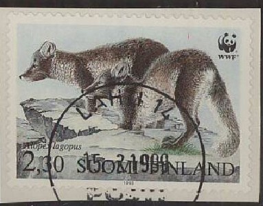 1993 naaleja loisto