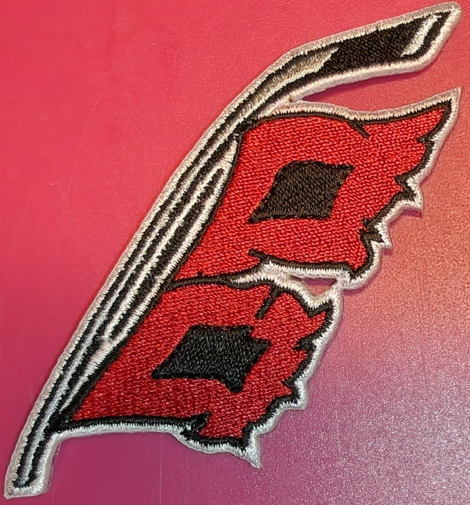 NHL - Carolina Hurricanes -kangasmerkki / hihamerkki