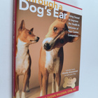Joshua Leeds ym. : Through a Dog's Ear : Using Sound to I... - pikkukuva 1