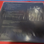 THRONEUM - PESTILENT DEATH M-/EX+ LP - pikkukuva 2