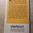 Kärpäsestä Sonninen - pikkukuva 2
