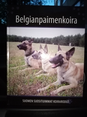 Suomen suosituimmat koirarodut Belgianpaimenkoira ( SIS POST
