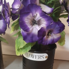 2x kangasorvokki Flowers-ruukussa - pikkukuva 2