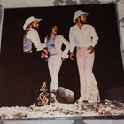ZZ Top - Tejas LP Japan 1977 - pikkukuva 4